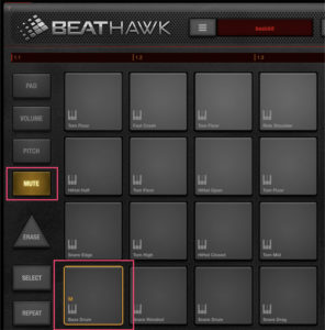 iOS BeatHawk 使い方