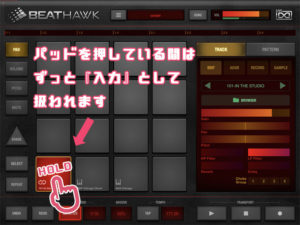 iOS BeatHawk 使い方 DTM