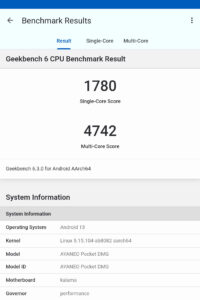 AYANEO Pocket DMG GeekBench